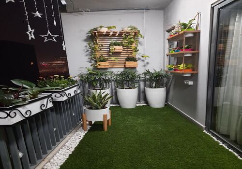 Terrace Garden Services Provider in Noida