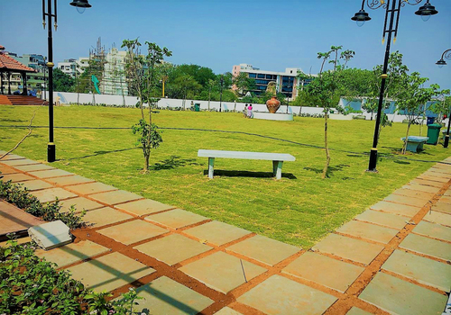 Terrace Garden Services Provider in Noida
