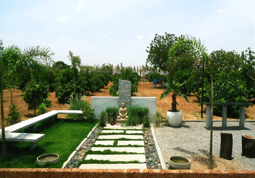 Terrace Garden Services Provider in Noida