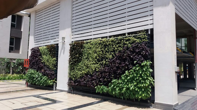 Vertical Gardening Services in India