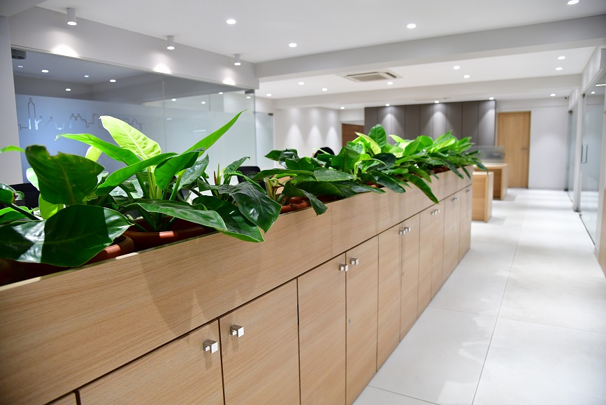 Terrace Garden Services Provider in Noida