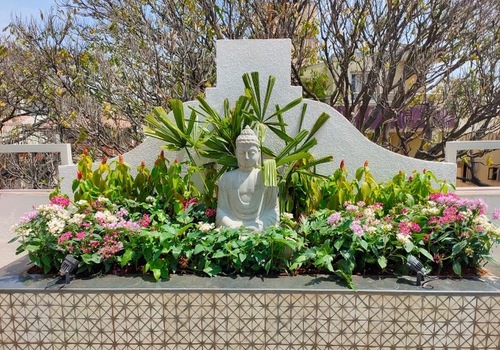 Terrace Garden Services Provider in Noida