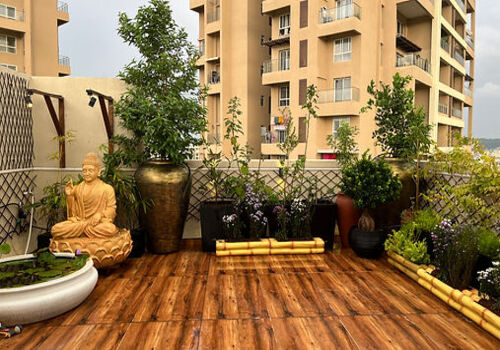 Terrace Garden Services Provider in Noida
