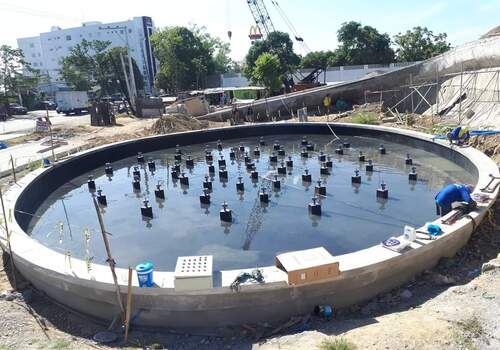 Terrace Garden Services Provider in Noida