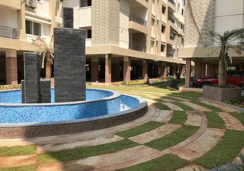 Terrace Garden Services Provider in Noida