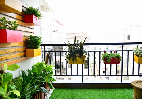 Terrace Garden Services Provider in Noida