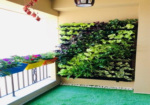 Terrace Garden Services Provider in Noida