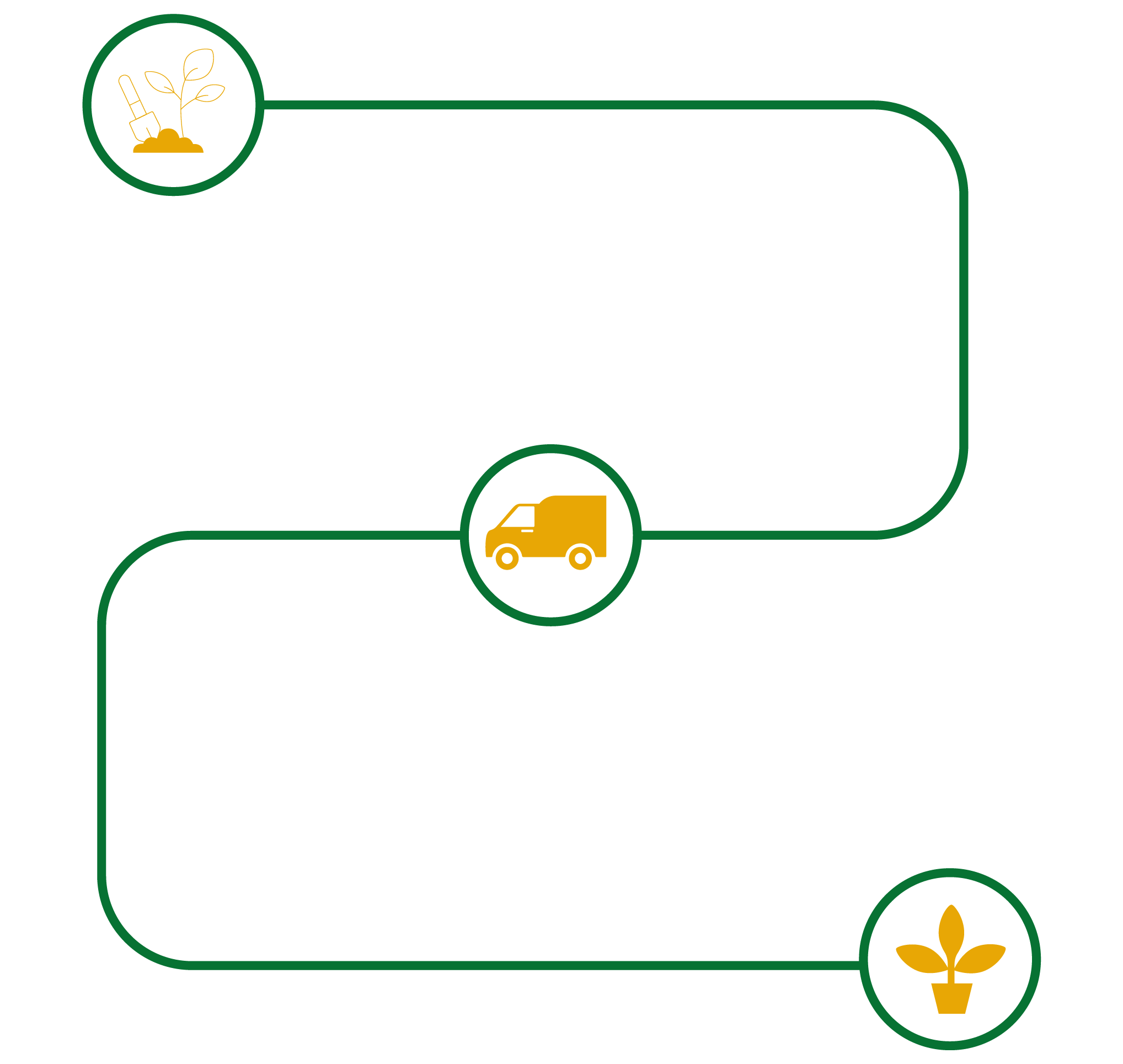 Consider taking Green Roof & Green Wall Services in Gurgaon